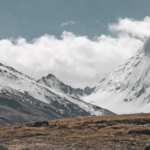 Kove - znane dotąd z głównie z motocykli ATV i szosowych, z modelem Kove Lancer wchodzi na rynek cruiser