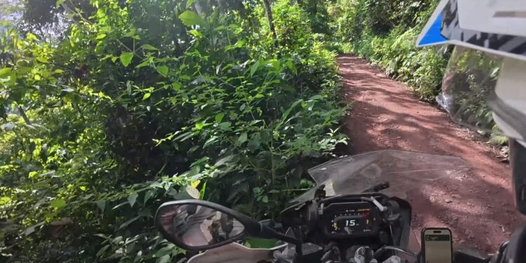 podróżnik na motocyklu spadł w przepaść w peruwiańskiej dżungli